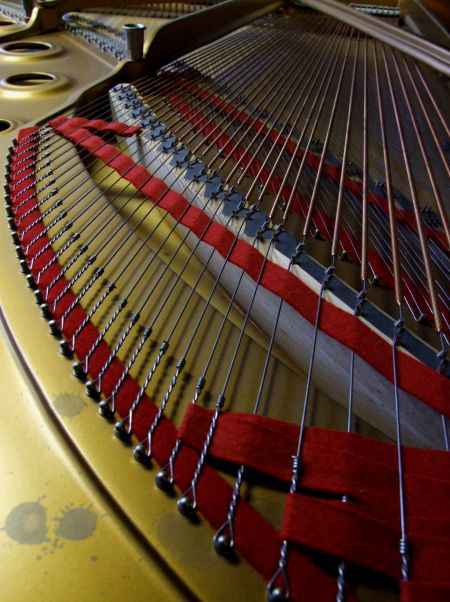 Steinway   model B    - dealers in Steinway grand pianos baby grand pianos, Fazioli, Bosendorfer, Bechstein, Bluthner, Yamaha